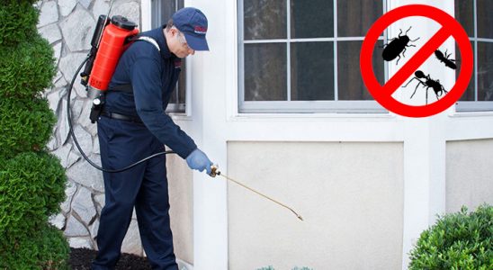 Kurşunlu Gümüşkurt İlaçlama böcek ilaçlama ve haşere kontrolü — ilaclama-tr.com